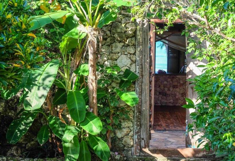 اتاق استاندارد با چشم‌انداز دریا, Seasons Lodge Zanzibar