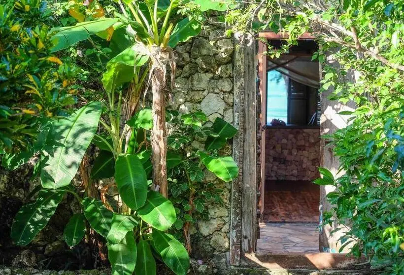 オーシャンビュースタンダードルーム, Seasons Lodge Zanzibar