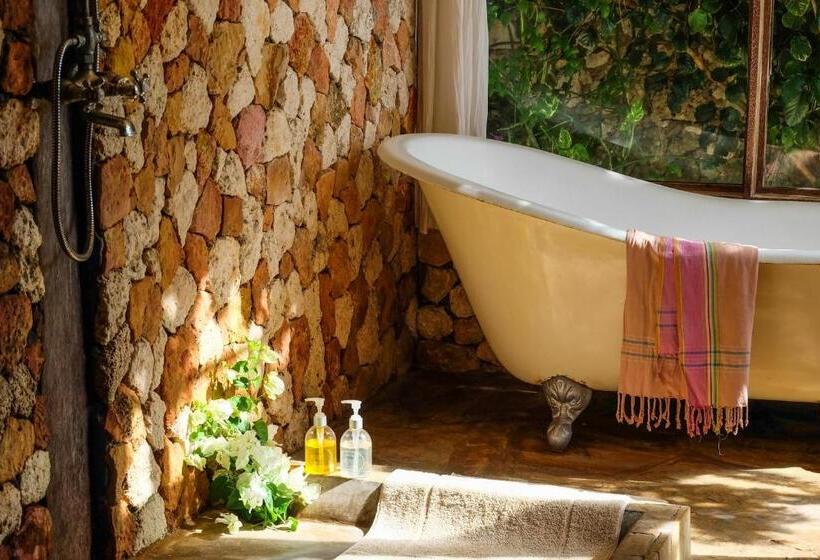 اتاق استاندارد با چشم‌انداز دریا, Seasons Lodge Zanzibar