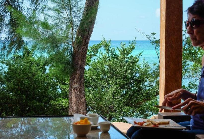 اتاق استاندارد با چشم‌انداز دریا, Seasons Lodge Zanzibar