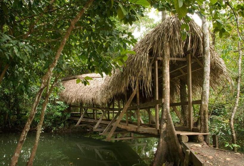 اتاق استاندارد با سرویس بهداشتی مشترک, Tortugal Boutique River Lodge