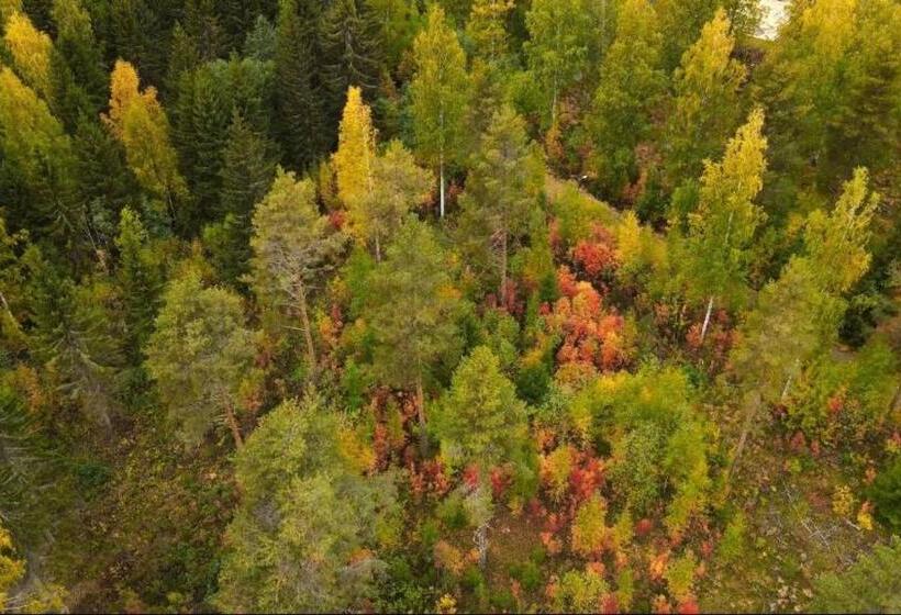 וילה בת חדר שינה 1, Punkaharju Resort