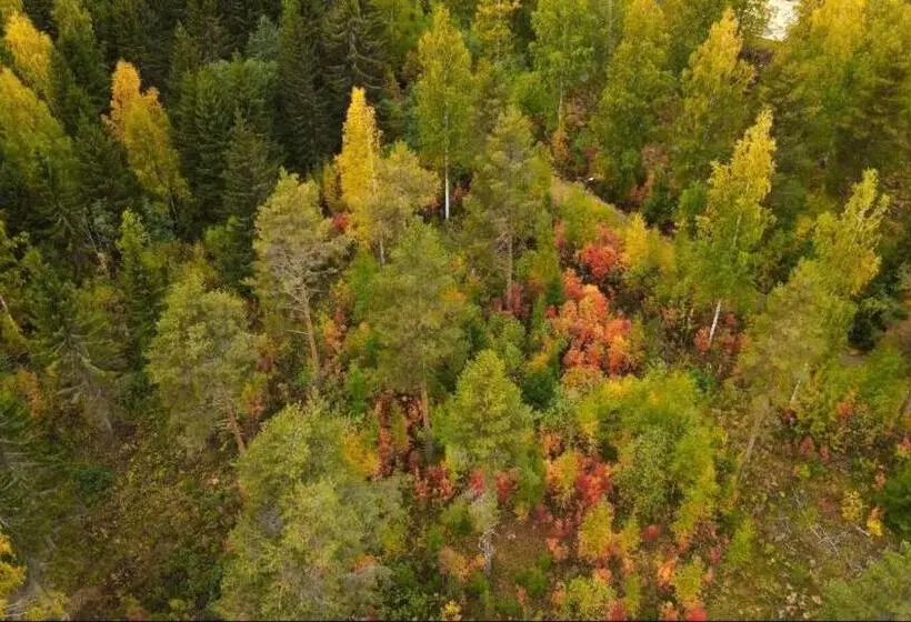 ビラホテル１ベッドルーム, Punkaharju Resort
