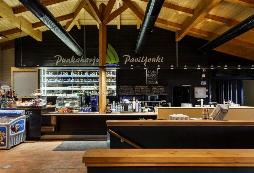 דירת חדר, Punkaharju Resort