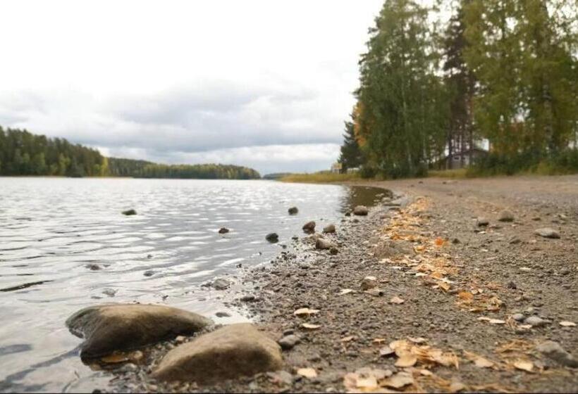 וילה בת חדר שינה 1, Punkaharju Resort