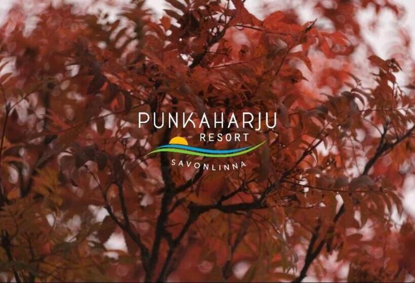 וילה בת חדר שינה 1, Punkaharju Resort