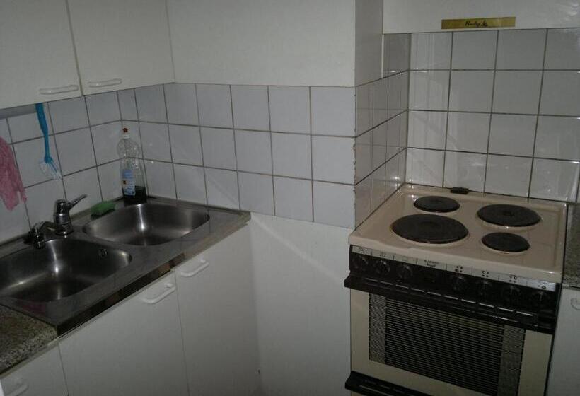 إستوديو قياسى, Scouts  Hostel