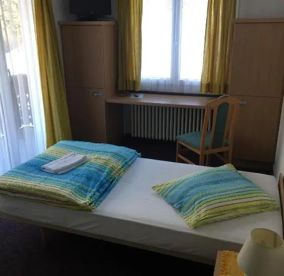 スタンダードシングルルーム, Waldhof