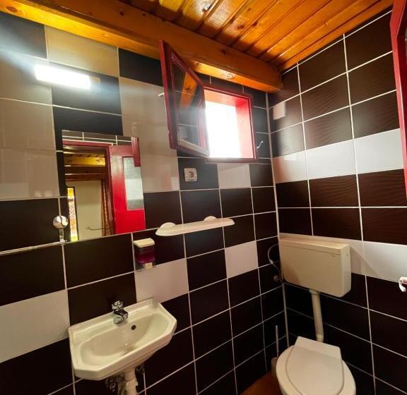 标准三人间, Maya & Elena