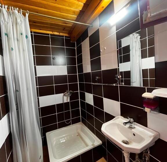 标准三人间, Maya & Elena