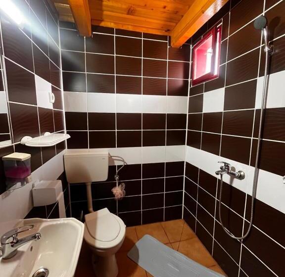 标准间, Maya & Elena