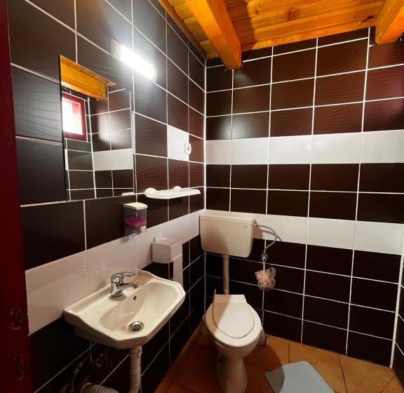 标准间, Maya & Elena