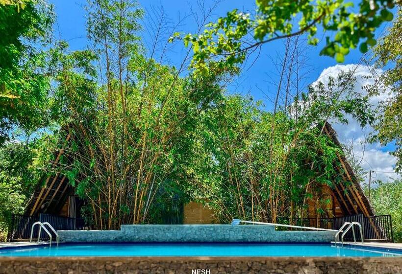 חדר סטנדרט לשלושה עם נוף לגינה, Tantor Resort Habarana