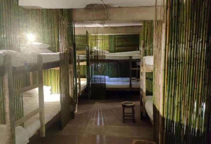 Кровать в Общей Комнате, Green Hostel & Sunny Guesthouse