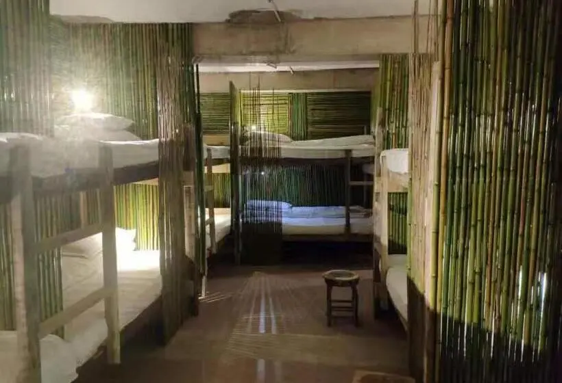 ルームシェアのワンベッド, Green Hostel & Sunny Guesthouse