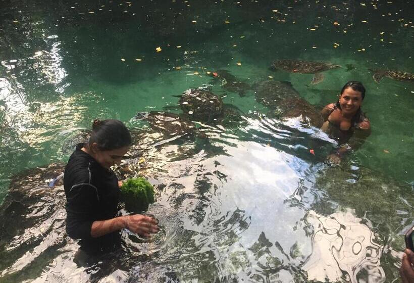 اتاق استاندارد, Mwana House