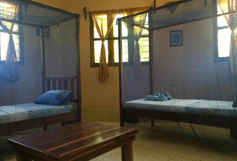 اتاق اکونومی, Mwana House