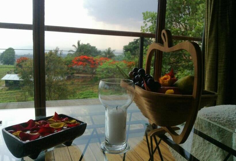 اتاق لوکس, Aythaya Monte Divino Lodge