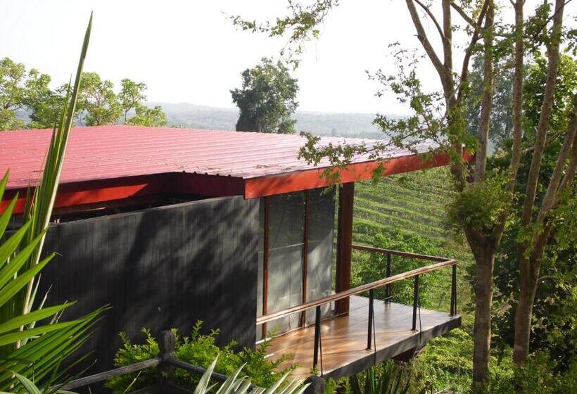 اتاق لوکس, Aythaya Monte Divino Lodge