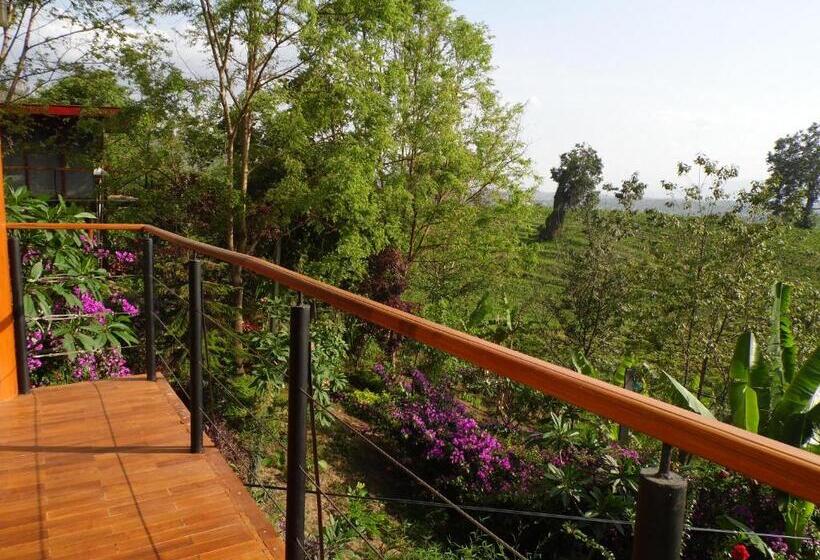 اتاق سوپریور, Aythaya Monte Divino Lodge