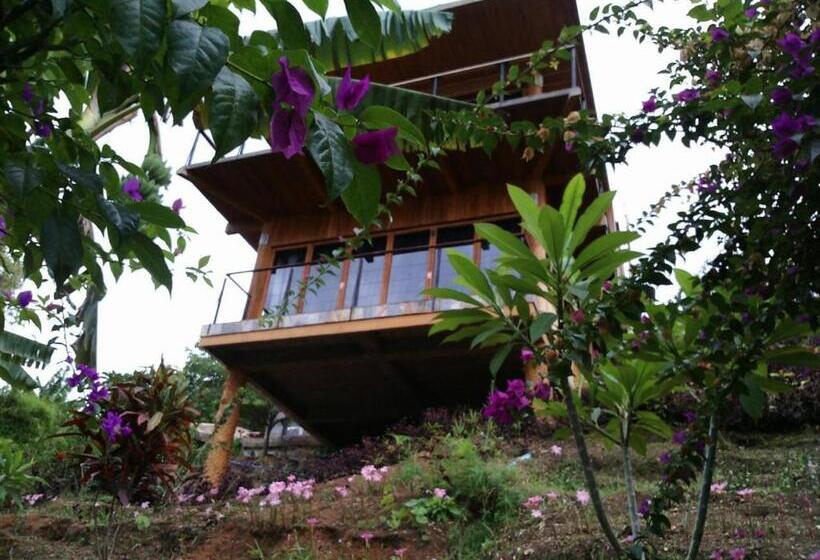 اتاق سوپریور, Aythaya Monte Divino Lodge