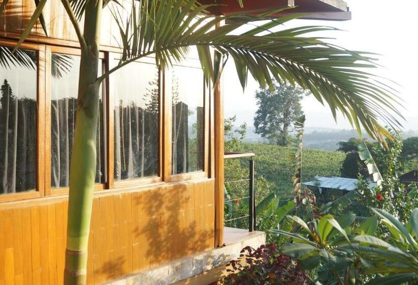 اتاق سوپریور, Aythaya Monte Divino Lodge