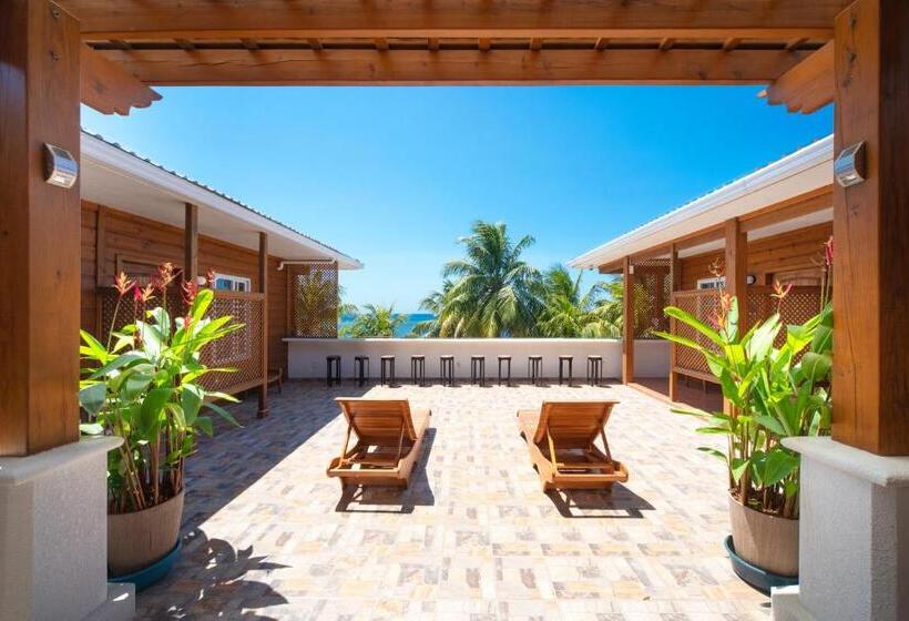 اتاق استاندارد, Mr. Tucan