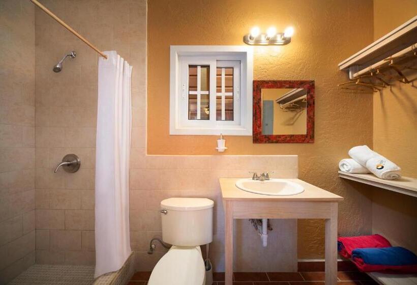 اتاق استاندارد, Mr. Tucan