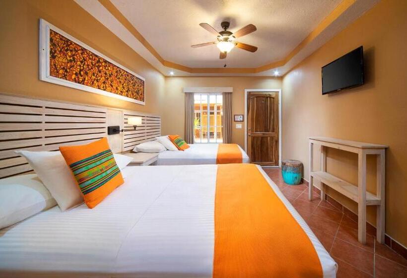 اتاق استاندارد, Mr. Tucan