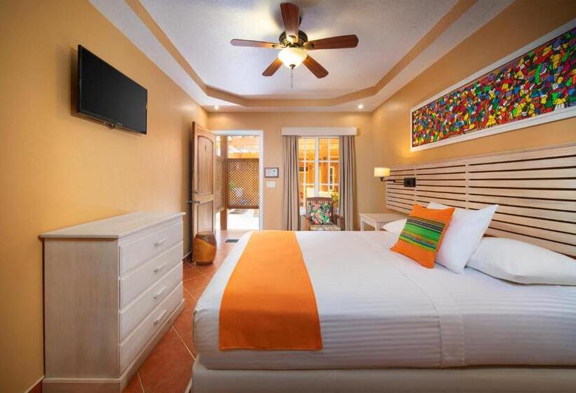 اتاق استاندارد با چشمانداز دریا, Mr. Tucan