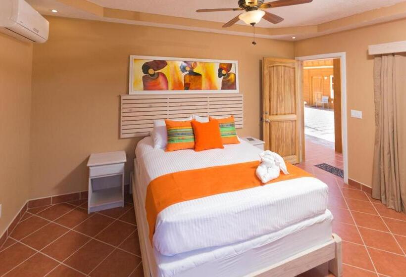 اتاق استاندارد با چشمانداز دریا, Mr. Tucan