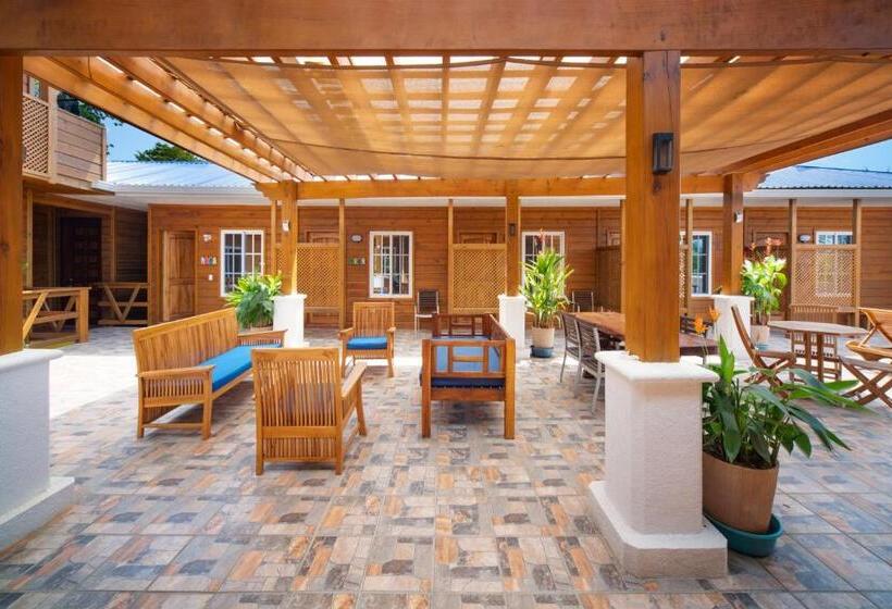 استودیوی لوکس, Mr. Tucan