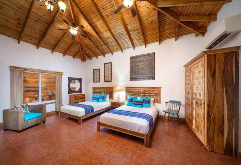 استودیوی لوکس, Mr. Tucan