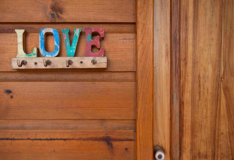 سوییت, Mr. Tucan