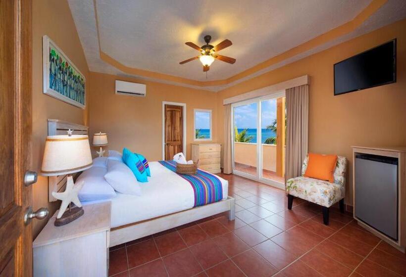 سوییت, Mr. Tucan