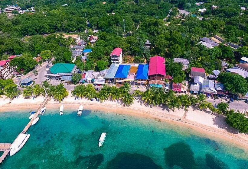 آپارتمان لوکس 1 خوابه, Mr. Tucan