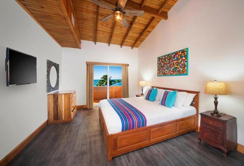 آپارتمان 1 خوابه با چشمانداز دریا, Mr. Tucan