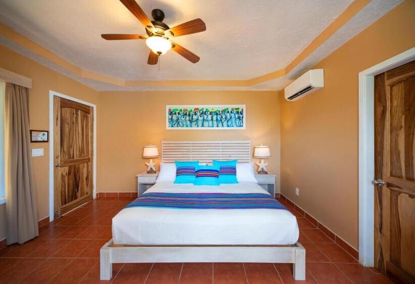 اتاق استاندارد, Mr. Tucan