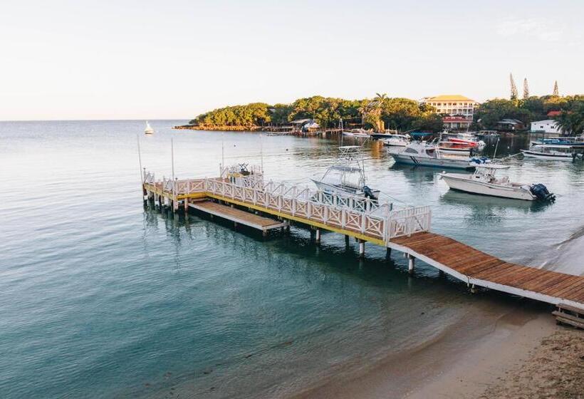 سوئیت پریمیوم, The Beach House Boutique