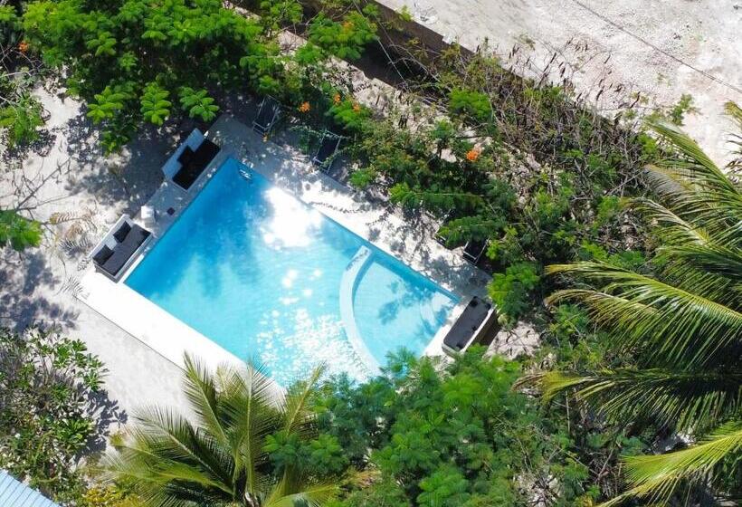 标准单人间, The Seles Boutique