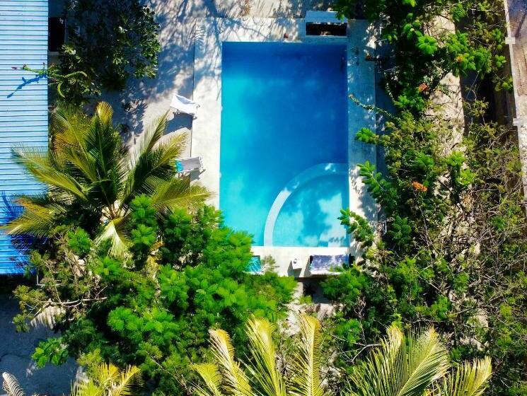 标准单人间, The Seles Boutique