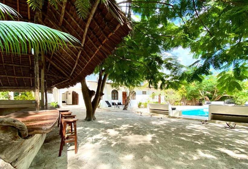 标准单人间, The Seles Boutique