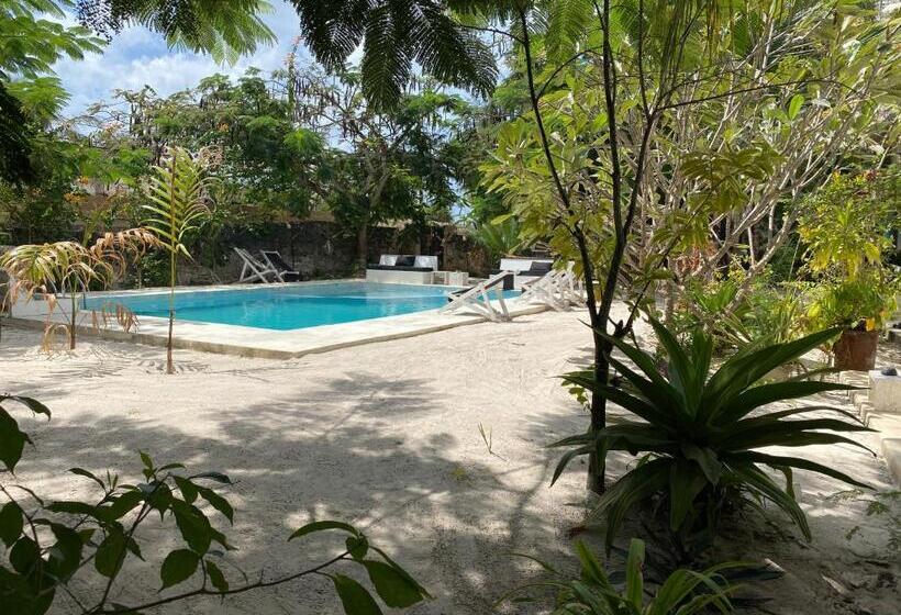 带泳池的标准三人间, The Seles Boutique