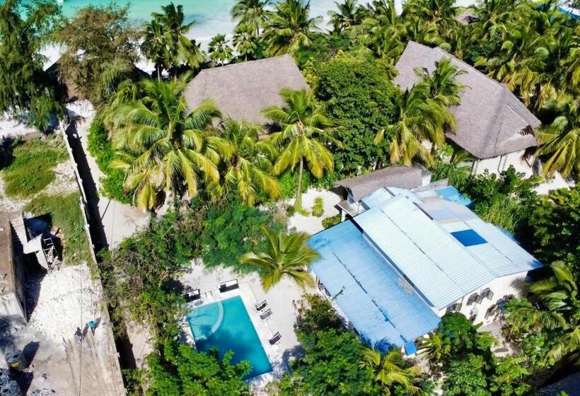 带泳池的标准三人间, The Seles Boutique