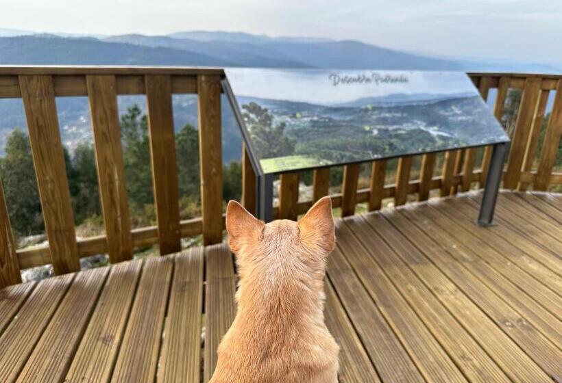 غرفة قياسية, Casa Oveja Negra 1