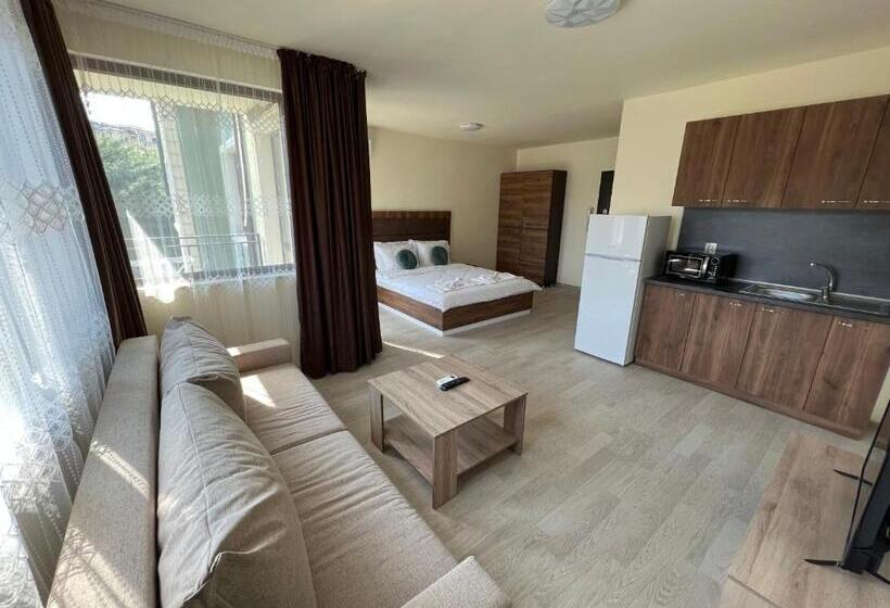 استودیو استاندارد با تخت کینگ, Rabi Park Residence