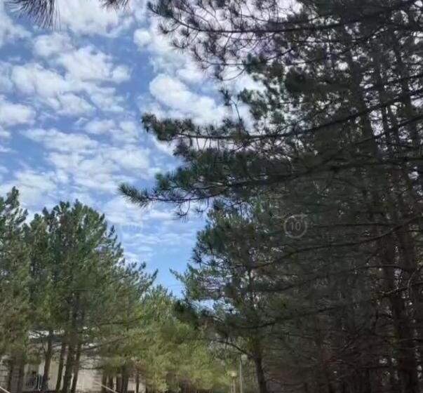 شقة غرفة نوم واحدة مزودة بشُرفة, домик в лесу