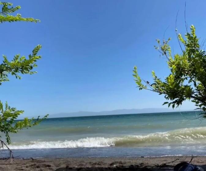 شقة غرفة نوم واحدة مزودة بشُرفة, домик в лесу