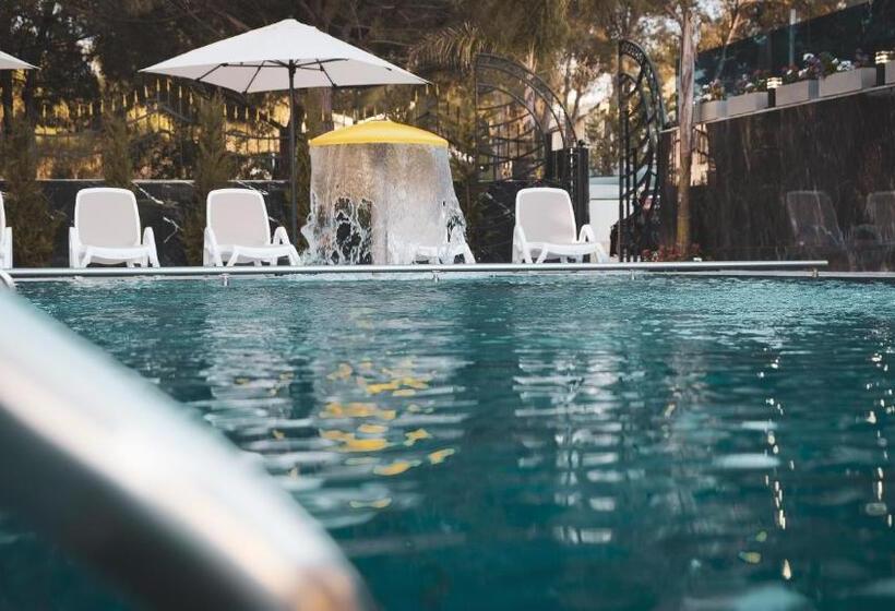 اتاق استاندارد با چشم‌انداز استخر, Ruko Boutique