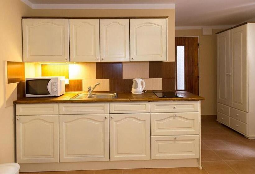 חדר סטנדרט, Penzion U Františka